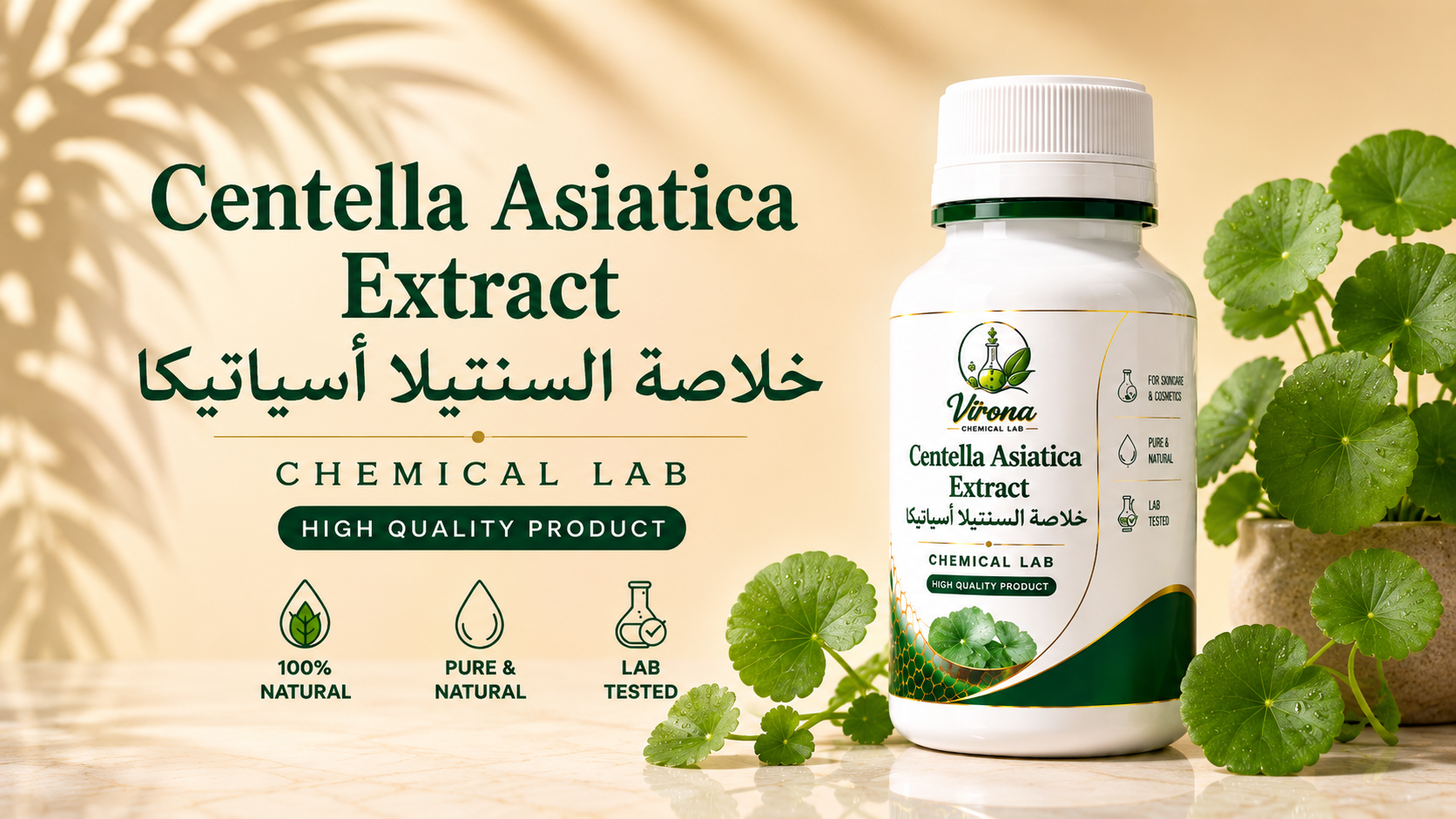 Centella Asiatica Extract خلاصة السنتيلا أسياتيكا