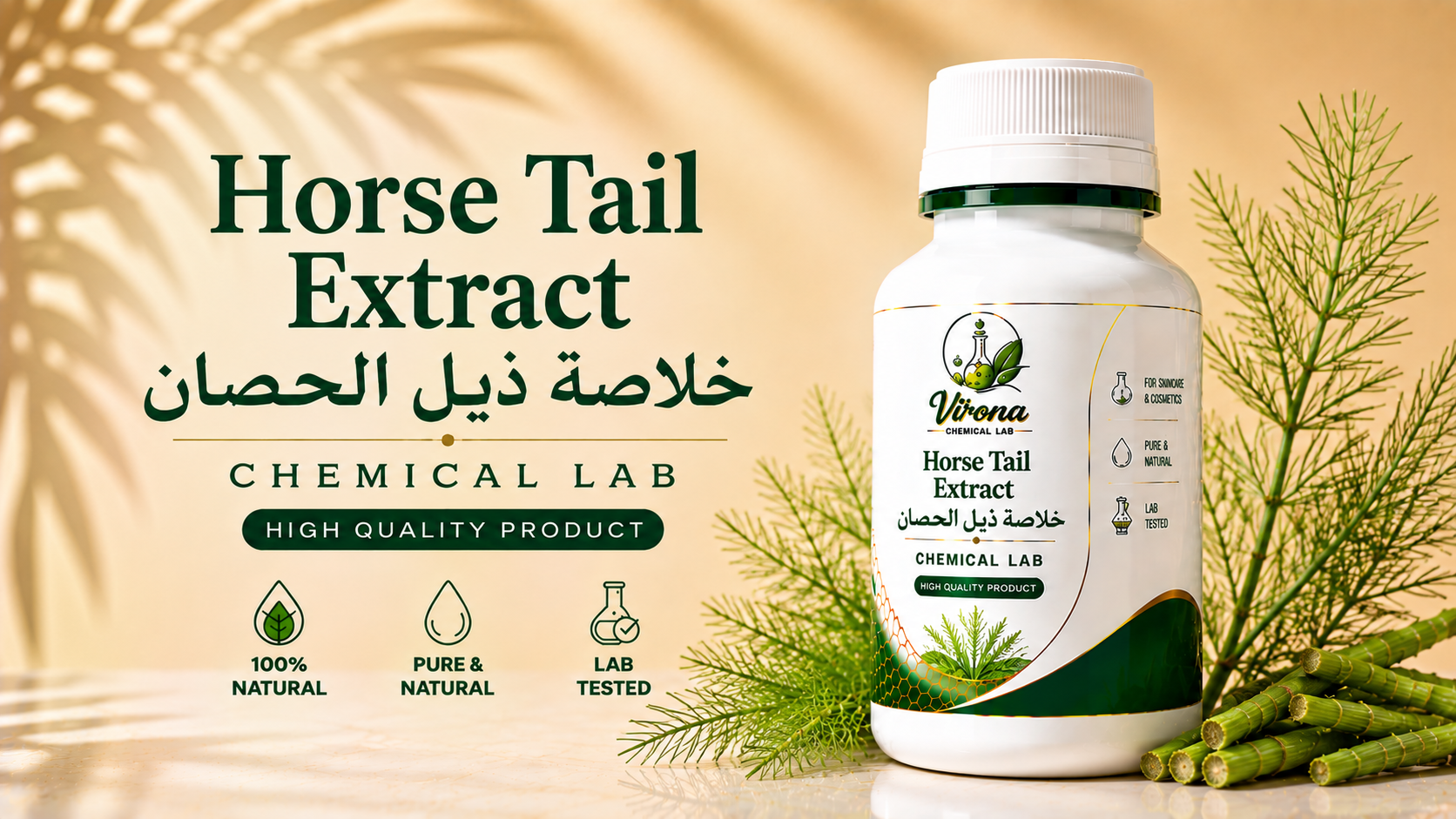 Horse Tail Extract خلاصة ذيل الحصان